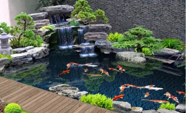 Constructing Your Own Koi Pond: A Comprehensive Guide 4