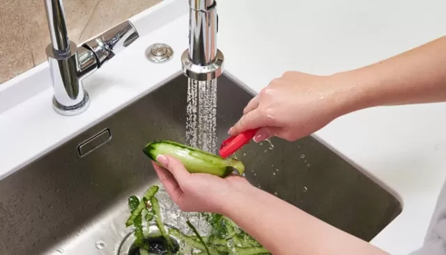 How to Fix Common Garbage Disposal Problems 1