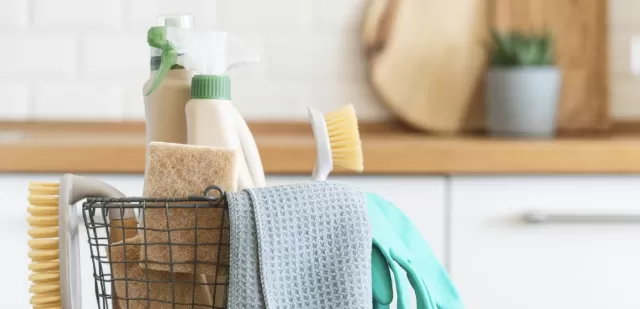 Professional Cleaners Reveal Their Preferred Cleaning Products 1