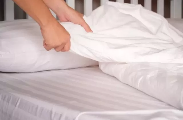 How to Clean Mold from a Mattress in 6 Steps 3