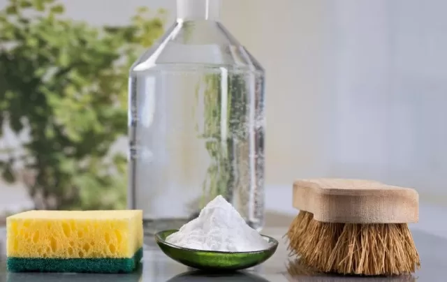 Using Vinegar to Kill Mold: Does It Work? 2