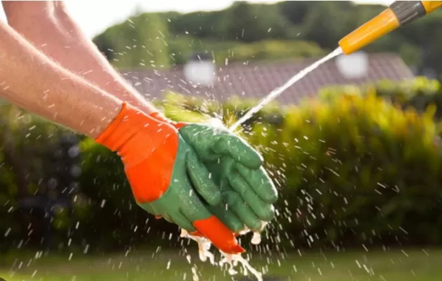Washing and Maintaining Your Gardening Gloves 1