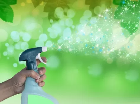 Eco-Friendly Cleaning: Green Products for Your Home 4