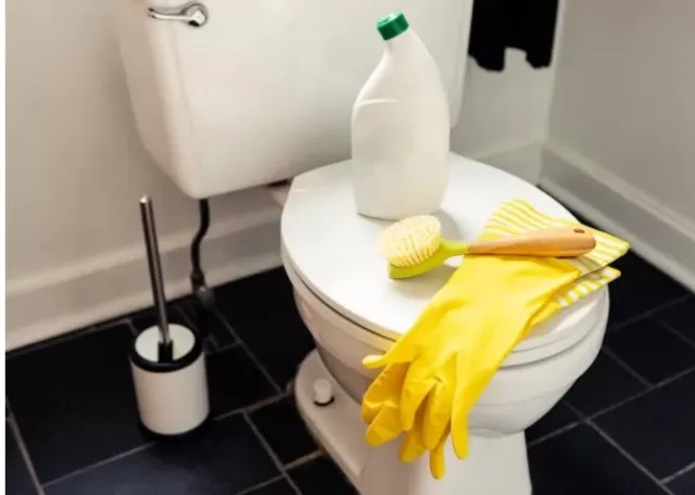 Cleaning Toilets: Still Doing It the Old-Fashioned Way? 2