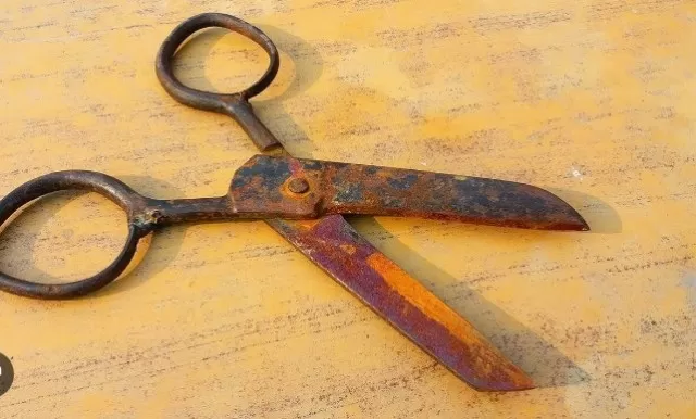 How to Quickly Clean Sticky or Rusty Scissors 2