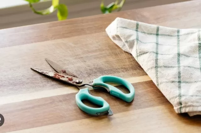 How to Quickly Clean Sticky or Rusty Scissors 1
