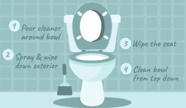 Master the Art of Toilet Cleaning 1