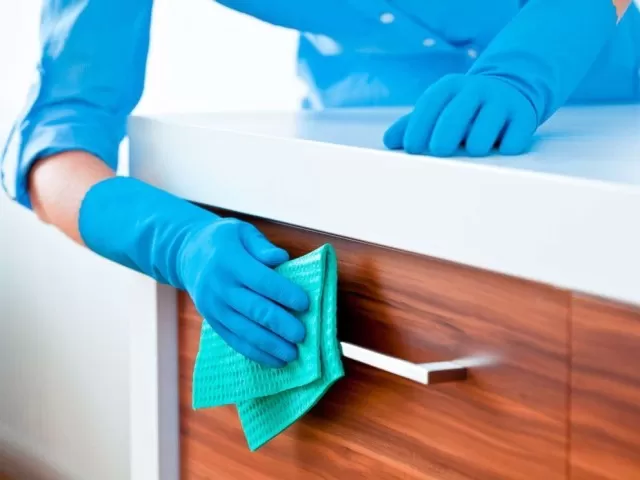 Post-Illness Cleaning Essentials: Targeting Germ Hotspots 2
