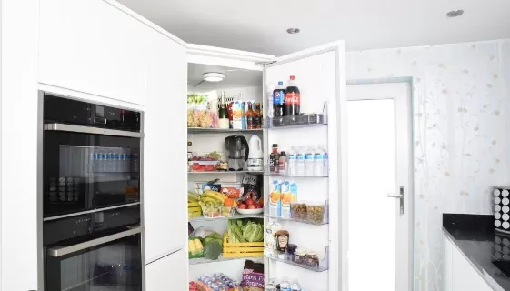 Budget-Friendly Solutions for an Organized Fridge 5