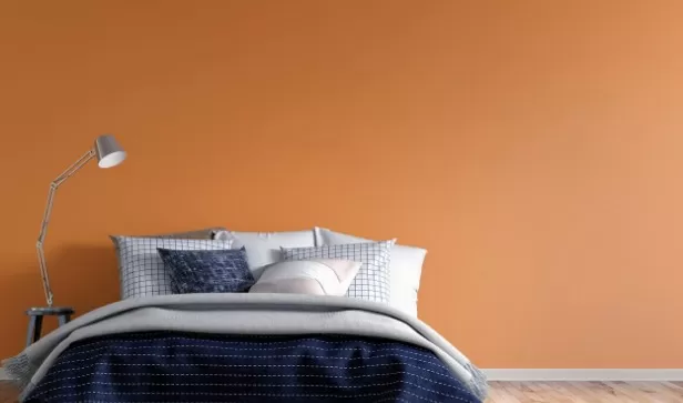 Illuminating Paint Colors for Low-Light Rooms 5