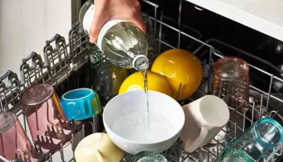Surprising Items You Can Clean in the Dishwasher 1