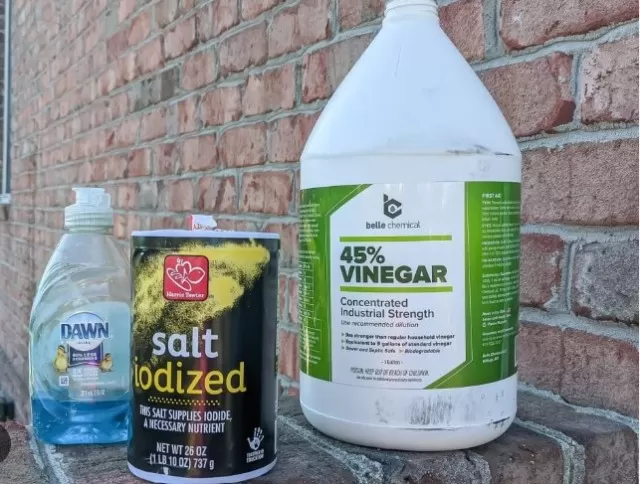 This 3-Ingredient Vinegar Weed Killer: Garden-Safe Solution 2