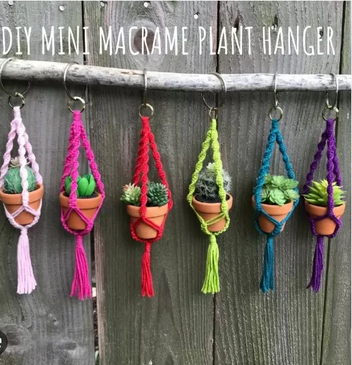 DIY: Easy Steps for Crafting a Macramé Plant Hanger 3
