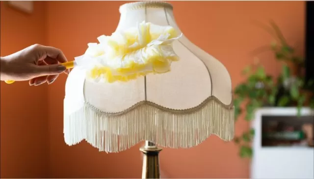 The Most Effective Guide to Clean Lampshades 4