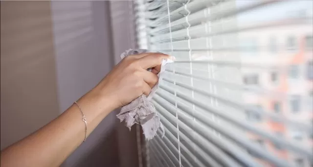 Clean Blinds: Best Tips to Remove Dust and Debris 2
