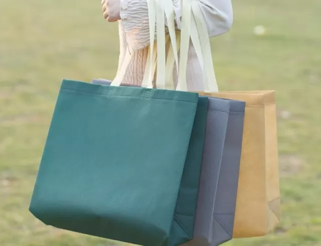 Green Living: 7 Ways to Store Reusable Shopping Bags 2