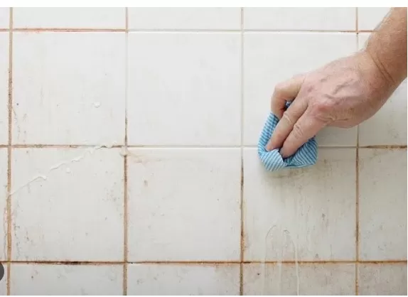 Proper Shower Cleaning Techniques: Step-by-Step Guide 2