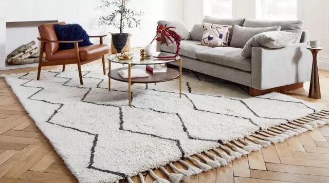 The Easiest Way to Clean Area Rug 4