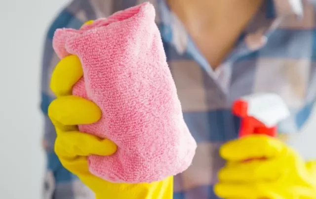 10 Most Necessary Cleaning Tools You Should Have At Home 2
