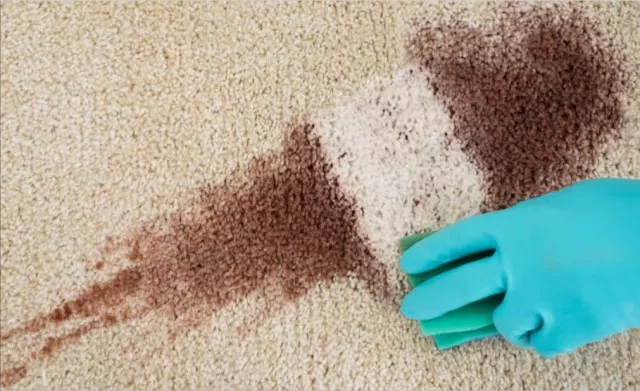 Best Guide to Remove Hard Carpet Stains 3
