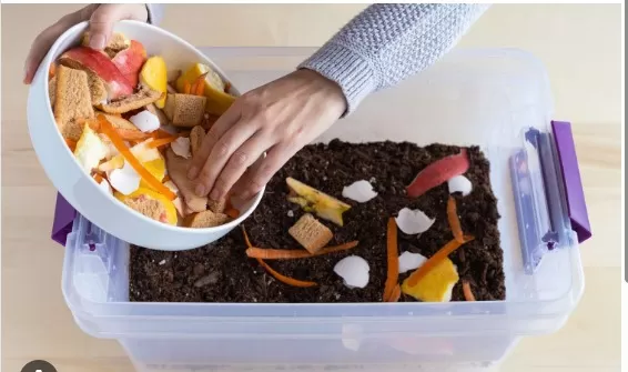 Indoor Composting: A Complete Guide and Tips 3