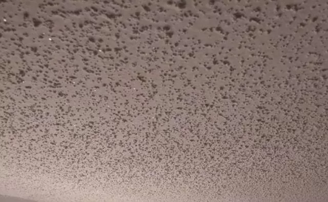 Popcorn Ceiling: How to Clean it the Best? 1