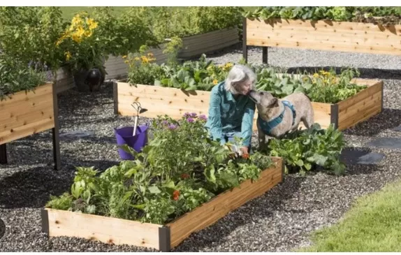 Raised Garden Bed Planning Tips: A Step-by-Step Guide 1