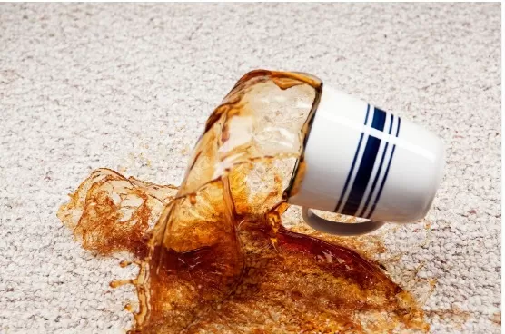 Carpet Stain Removal: Step-by-Step Guide for Every Scenario 3