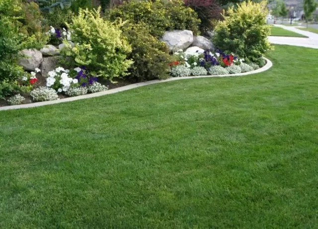 Leveling Your Yard: 7 Easy Steps 3