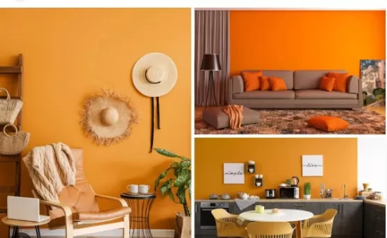 Perfect Palette for Small Spaces: The Only Colors to Use 5