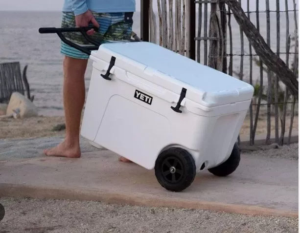 11 Must-Have Coolers for Epic Summer Escapades 5