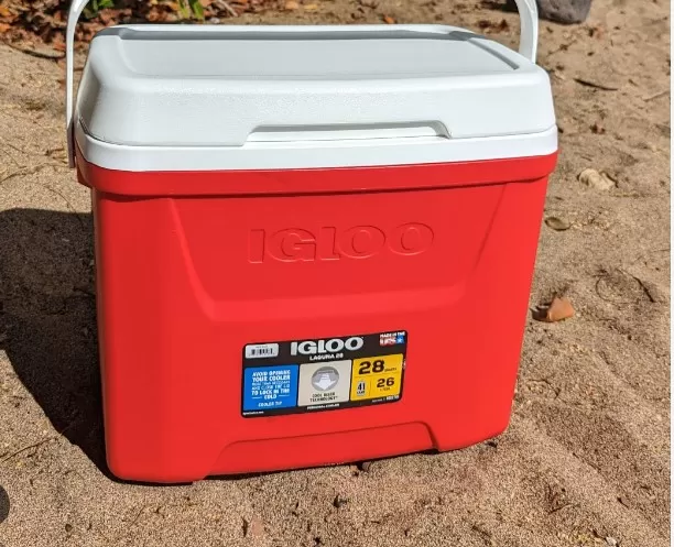 11 Must-Have Coolers for Epic Summer Escapades 2