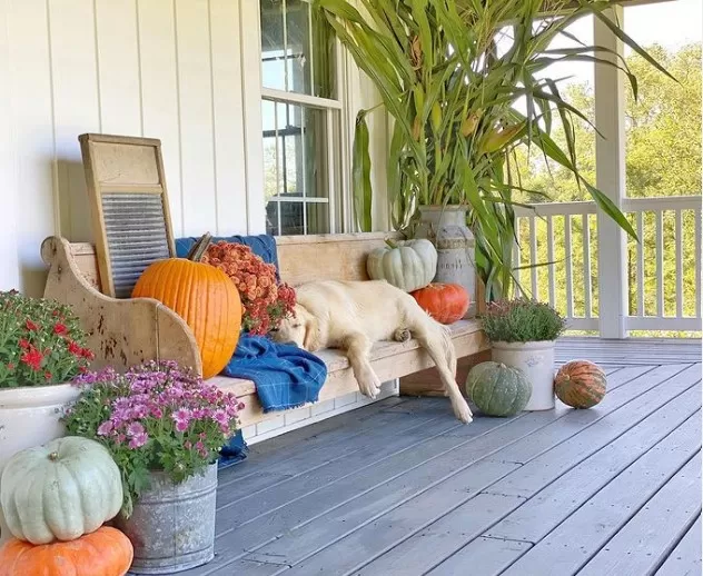 Embrace Autumn\'s Charm: 16 Inspiring Fall Porches 5