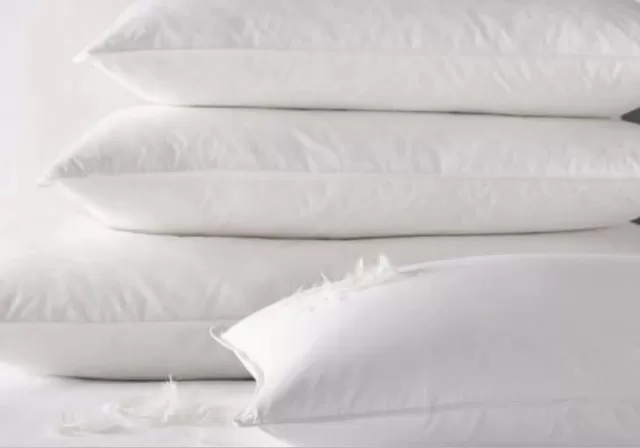 How to Best Clean Down Comforters and Down Pillows 4