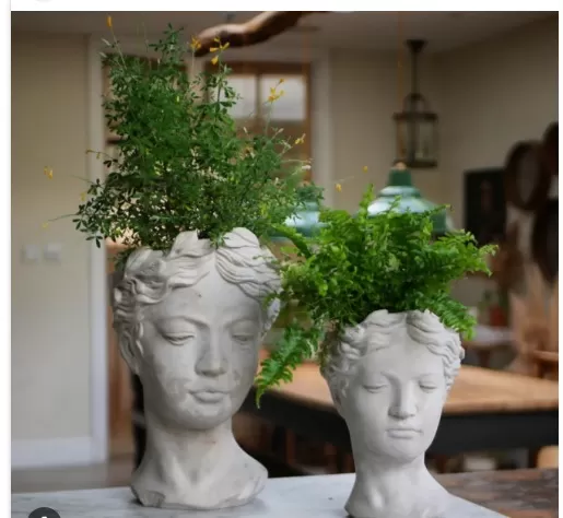Personality-Packed Decor: 5 Ways to Style with Houseplants 3