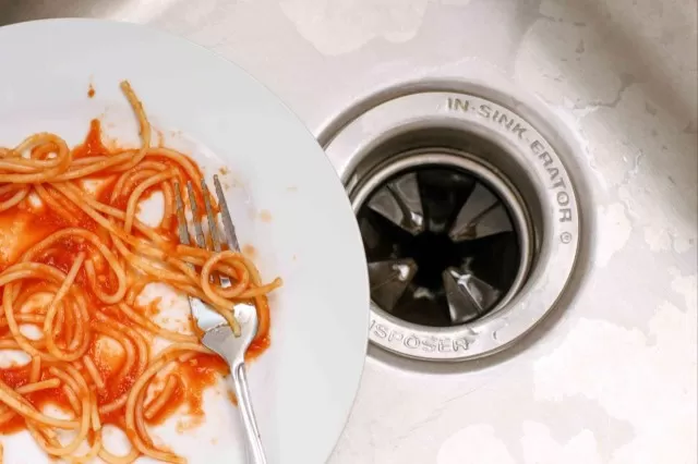 Garbage Disposal Don\'ts: 5 Things to Avoid Putting Down 3
