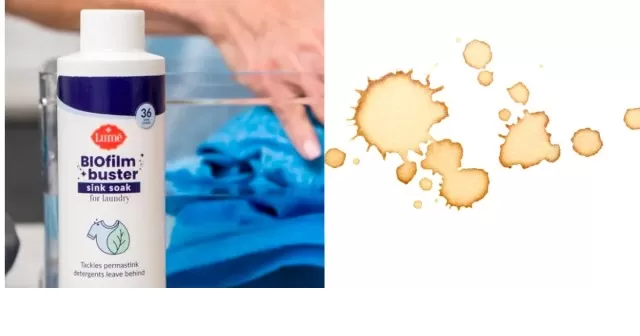 Get Coffee Stains Out of Clothes with These 3 Basic Items 3
