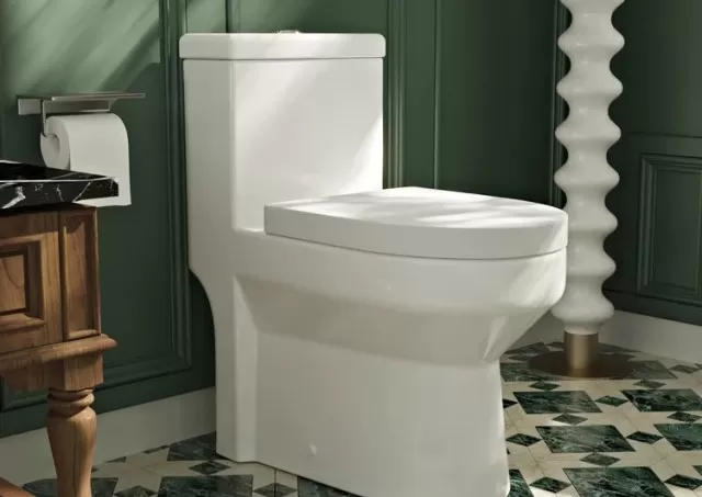For the Most Pristine Toilet, Read This Best Cleaning Guide 2