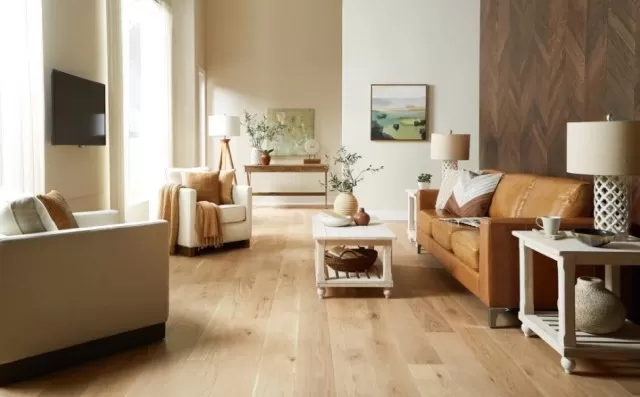 Hardwood Floors & Best Way to Clean for a Polished Look 2