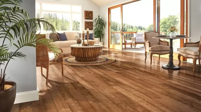 Hardwood Floors & Best Way to Clean for a Polished Look 6