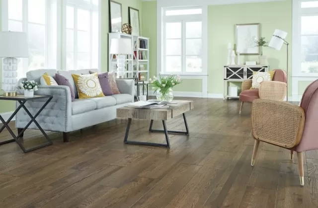 Hardwood Floors & Best Way to Clean for a Polished Look 3