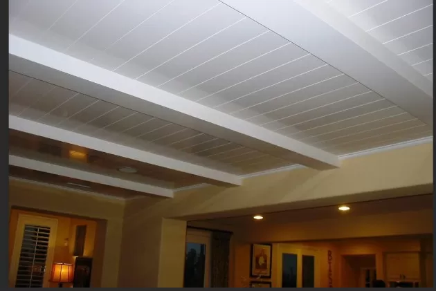 Exploring Common Ceiling Types Found in Homes 3