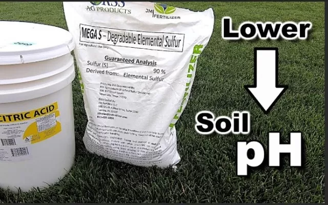 Optimize Your Lawn and Plants: Lowering Soil pH Made Easy 1