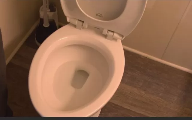 Proper Toilet Etiquette: Items to Never Flush Down the Toilet 3