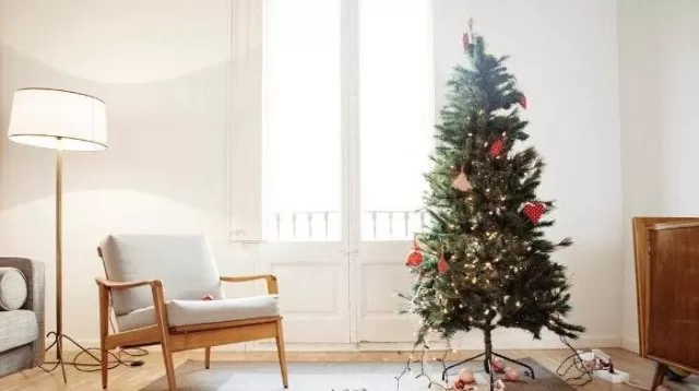 Best Way to Store Christmas Tree for the Next Holidays in 9 Steps 1
