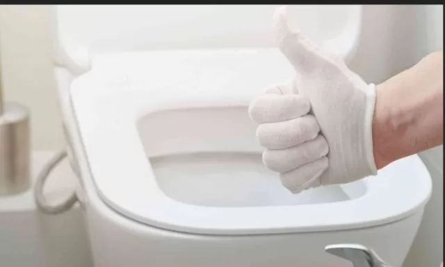 Toilet Woes Solved: Troubleshooting a Non-Flushing Toilet 5