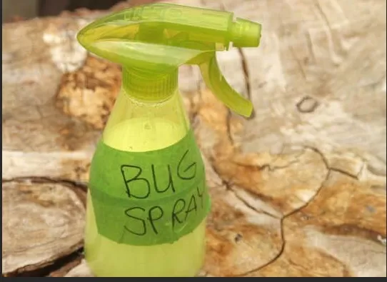 Quick and Easy Pest-Free Home: A Dozen 10-Minute DIYs 1