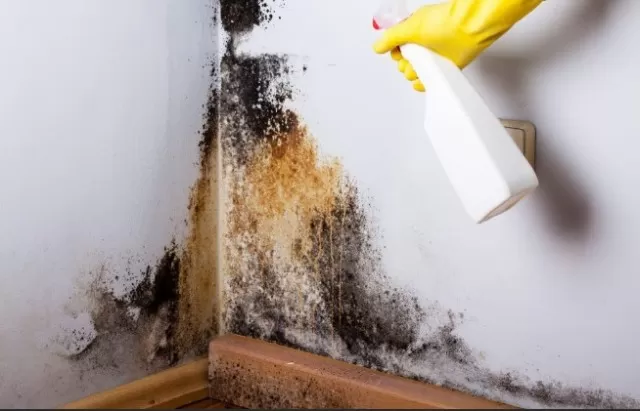 Home Health Hazards: Is Your House Harming You? 5