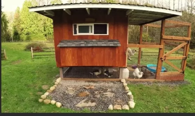 Stunning Chicken Coops: Beauty and Function for Your Flock 3