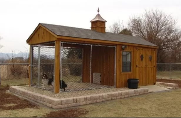 Unexpected Uses for Backyard Sheds: Think Outside the Box! 3